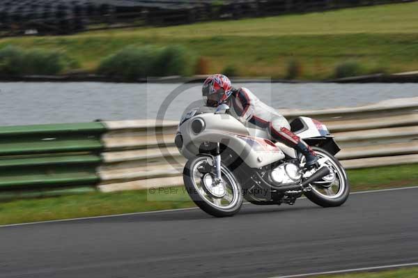 anglesey;brands hatch;cadwell park;croft;digital images;donington park;enduro;enduro digital images;event;event digital images;eventdigitalimages;mallory park;no limits;oulton park;peter wileman photography;racing;racing digital images;silverstone;snetterton;trackday;trackday digital images;trackday photos;vintage;vmcc banbury run;welsh 2 day enduro