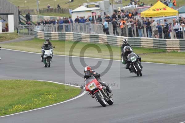 anglesey;brands hatch;cadwell park;croft;digital images;donington park;enduro;enduro digital images;event;event digital images;eventdigitalimages;mallory park;no limits;oulton park;peter wileman photography;racing;racing digital images;silverstone;snetterton;trackday;trackday digital images;trackday photos;vintage;vmcc banbury run;welsh 2 day enduro