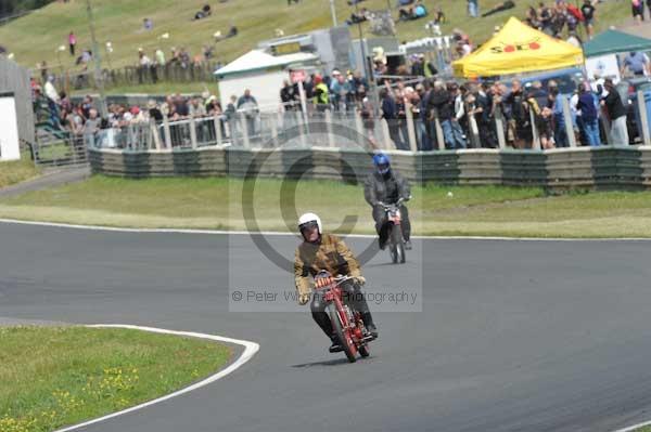 anglesey;brands hatch;cadwell park;croft;digital images;donington park;enduro;enduro digital images;event;event digital images;eventdigitalimages;mallory park;no limits;oulton park;peter wileman photography;racing;racing digital images;silverstone;snetterton;trackday;trackday digital images;trackday photos;vintage;vmcc banbury run;welsh 2 day enduro