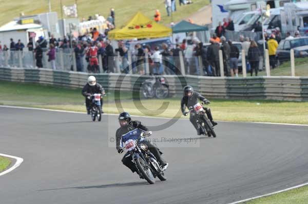 anglesey;brands hatch;cadwell park;croft;digital images;donington park;enduro;enduro digital images;event;event digital images;eventdigitalimages;mallory park;no limits;oulton park;peter wileman photography;racing;racing digital images;silverstone;snetterton;trackday;trackday digital images;trackday photos;vintage;vmcc banbury run;welsh 2 day enduro