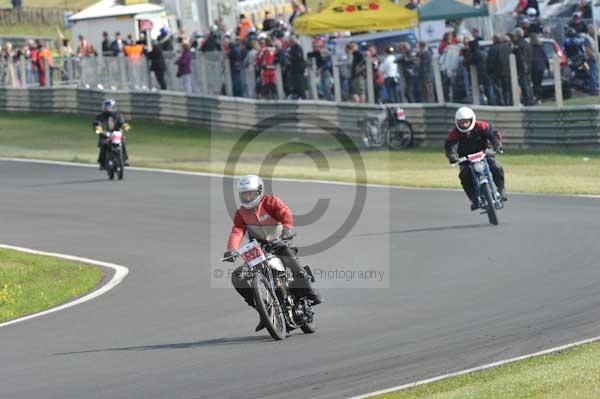 anglesey;brands hatch;cadwell park;croft;digital images;donington park;enduro;enduro digital images;event;event digital images;eventdigitalimages;mallory park;no limits;oulton park;peter wileman photography;racing;racing digital images;silverstone;snetterton;trackday;trackday digital images;trackday photos;vintage;vmcc banbury run;welsh 2 day enduro