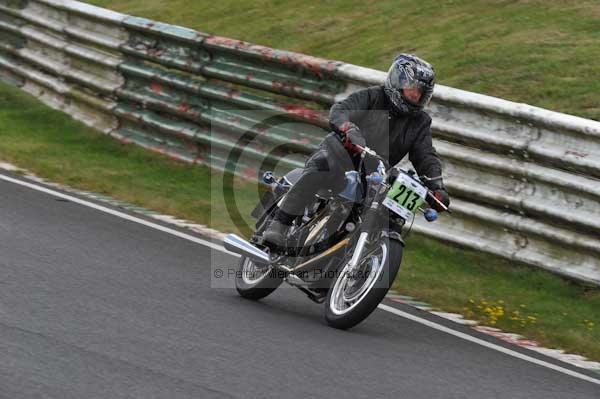 anglesey;brands hatch;cadwell park;croft;digital images;donington park;enduro;enduro digital images;event;event digital images;eventdigitalimages;mallory park;no limits;oulton park;peter wileman photography;racing;racing digital images;silverstone;snetterton;trackday;trackday digital images;trackday photos;vintage;vmcc banbury run;welsh 2 day enduro