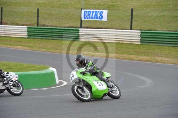 anglesey;brands hatch;cadwell park;croft;digital images;donington park;enduro;enduro digital images;event;event digital images;eventdigitalimages;mallory park;no limits;oulton park;peter wileman photography;racing;racing digital images;silverstone;snetterton;trackday;trackday digital images;trackday photos;vintage;vmcc banbury run;welsh 2 day enduro