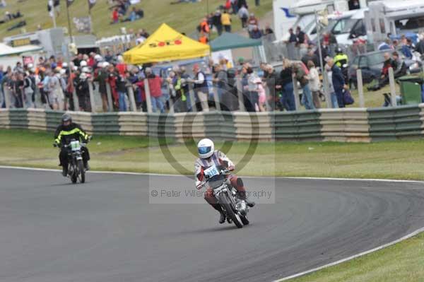 anglesey;brands hatch;cadwell park;croft;digital images;donington park;enduro;enduro digital images;event;event digital images;eventdigitalimages;mallory park;no limits;oulton park;peter wileman photography;racing;racing digital images;silverstone;snetterton;trackday;trackday digital images;trackday photos;vintage;vmcc banbury run;welsh 2 day enduro