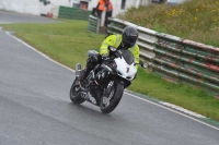 Mallory-park-Leicestershire;Mallory-park-photographs;Motorcycle-action-photographs;classic-bikes;event-digital-images;eventdigitalimages;mallory-park;no-limits-trackday;peter-wileman-photography;vintage-bikes;vintage-motorcycles;vmcc-festival-1000-bikes