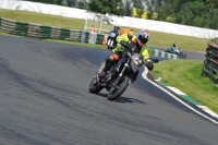 Mallory-park-Leicestershire;Mallory-park-photographs;Motorcycle-action-photographs;classic-bikes;event-digital-images;eventdigitalimages;mallory-park;no-limits-trackday;peter-wileman-photography;vintage-bikes;vintage-motorcycles;vmcc-festival-1000-bikes