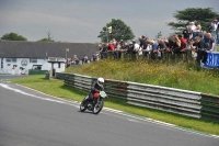 Mallory-park-Leicestershire;Mallory-park-photographs;Motorcycle-action-photographs;classic-bikes;event-digital-images;eventdigitalimages;mallory-park;no-limits-trackday;peter-wileman-photography;vintage-bikes;vintage-motorcycles;vmcc-festival-1000-bikes