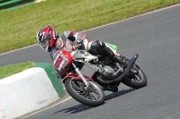 Mallory-park-Leicestershire;Mallory-park-photographs;Motorcycle-action-photographs;classic-bikes;event-digital-images;eventdigitalimages;mallory-park;no-limits-trackday;peter-wileman-photography;vintage-bikes;vintage-motorcycles;vmcc-festival-1000-bikes