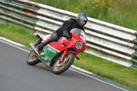 Mallory-park-Leicestershire;Mallory-park-photographs;Motorcycle-action-photographs;classic-bikes;event-digital-images;eventdigitalimages;mallory-park;no-limits-trackday;peter-wileman-photography;vintage-bikes;vintage-motorcycles;vmcc-festival-1000-bikes