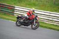 Mallory-park-Leicestershire;Mallory-park-photographs;Motorcycle-action-photographs;classic-bikes;event-digital-images;eventdigitalimages;mallory-park;no-limits-trackday;peter-wileman-photography;vintage-bikes;vintage-motorcycles;vmcc-festival-1000-bikes