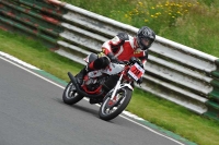 Mallory-park-Leicestershire;Mallory-park-photographs;Motorcycle-action-photographs;classic-bikes;event-digital-images;eventdigitalimages;mallory-park;no-limits-trackday;peter-wileman-photography;vintage-bikes;vintage-motorcycles;vmcc-festival-1000-bikes