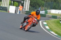 Mallory-park-Leicestershire;Mallory-park-photographs;Motorcycle-action-photographs;classic-bikes;event-digital-images;eventdigitalimages;mallory-park;no-limits-trackday;peter-wileman-photography;vintage-bikes;vintage-motorcycles;vmcc-festival-1000-bikes