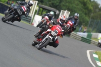 Mallory-park-Leicestershire;Mallory-park-photographs;Motorcycle-action-photographs;classic-bikes;event-digital-images;eventdigitalimages;mallory-park;no-limits-trackday;peter-wileman-photography;vintage-bikes;vintage-motorcycles;vmcc-festival-1000-bikes