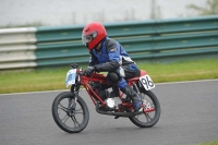 Mallory-park-Leicestershire;Mallory-park-photographs;Motorcycle-action-photographs;classic-bikes;event-digital-images;eventdigitalimages;mallory-park;no-limits-trackday;peter-wileman-photography;vintage-bikes;vintage-motorcycles;vmcc-festival-1000-bikes