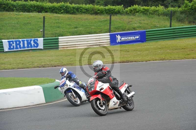 Mallory park Leicestershire;Mallory park photographs;Motorcycle action photographs;classic bikes;event digital images;eventdigitalimages;mallory park;no limits trackday;peter wileman photography;vintage bikes;vintage motorcycles;vmcc festival 1000 bikes