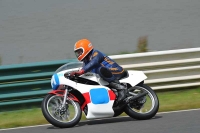 Mallory-park-Leicestershire;Mallory-park-photographs;Motorcycle-action-photographs;classic-bikes;event-digital-images;eventdigitalimages;mallory-park;no-limits-trackday;peter-wileman-photography;vintage-bikes;vintage-motorcycles;vmcc-festival-1000-bikes