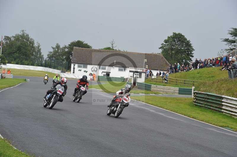 Mallory park Leicestershire;Mallory park photographs;Motorcycle action photographs;classic bikes;event digital images;eventdigitalimages;mallory park;no limits trackday;peter wileman photography;vintage bikes;vintage motorcycles;vmcc festival 1000 bikes