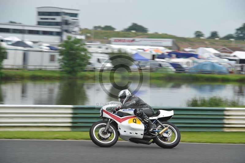 Mallory park Leicestershire;Mallory park photographs;Motorcycle action photographs;classic bikes;event digital images;eventdigitalimages;mallory park;no limits trackday;peter wileman photography;vintage bikes;vintage motorcycles;vmcc festival 1000 bikes