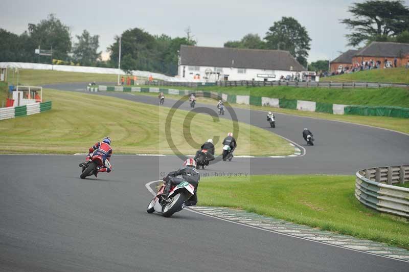 Mallory park Leicestershire;Mallory park photographs;Motorcycle action photographs;classic bikes;event digital images;eventdigitalimages;mallory park;no limits trackday;peter wileman photography;vintage bikes;vintage motorcycles;vmcc festival 1000 bikes