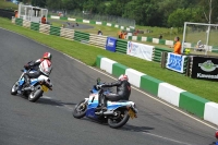 Mallory-park-Leicestershire;Mallory-park-photographs;Motorcycle-action-photographs;classic-bikes;event-digital-images;eventdigitalimages;mallory-park;no-limits-trackday;peter-wileman-photography;vintage-bikes;vintage-motorcycles;vmcc-festival-1000-bikes