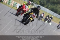 Vintage-motorcycle-club;eventdigitalimages;mallory-park;mallory-park-trackday-photographs;no-limits-trackdays;peter-wileman-photography;trackday-digital-images;trackday-photos;vmcc-festival-1000-bikes-photographs