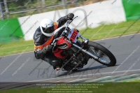 Vintage-motorcycle-club;eventdigitalimages;mallory-park;mallory-park-trackday-photographs;no-limits-trackdays;peter-wileman-photography;trackday-digital-images;trackday-photos;vmcc-festival-1000-bikes-photographs