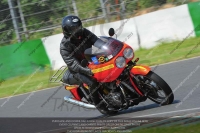 Vintage-motorcycle-club;eventdigitalimages;mallory-park;mallory-park-trackday-photographs;no-limits-trackdays;peter-wileman-photography;trackday-digital-images;trackday-photos;vmcc-festival-1000-bikes-photographs