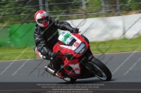 Vintage-motorcycle-club;eventdigitalimages;mallory-park;mallory-park-trackday-photographs;no-limits-trackdays;peter-wileman-photography;trackday-digital-images;trackday-photos;vmcc-festival-1000-bikes-photographs