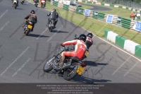 Vintage-motorcycle-club;eventdigitalimages;mallory-park;mallory-park-trackday-photographs;no-limits-trackdays;peter-wileman-photography;trackday-digital-images;trackday-photos;vmcc-festival-1000-bikes-photographs