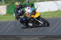 Vintage-motorcycle-club;eventdigitalimages;mallory-park;mallory-park-trackday-photographs;no-limits-trackdays;peter-wileman-photography;trackday-digital-images;trackday-photos;vmcc-festival-1000-bikes-photographs