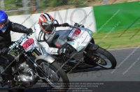 Vintage-motorcycle-club;eventdigitalimages;mallory-park;mallory-park-trackday-photographs;no-limits-trackdays;peter-wileman-photography;trackday-digital-images;trackday-photos;vmcc-festival-1000-bikes-photographs