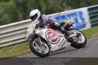 Vintage-motorcycle-club;eventdigitalimages;mallory-park;mallory-park-trackday-photographs;no-limits-trackdays;peter-wileman-photography;trackday-digital-images;trackday-photos;vmcc-festival-1000-bikes-photographs