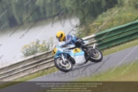 Vintage-motorcycle-club;eventdigitalimages;mallory-park;mallory-park-trackday-photographs;no-limits-trackdays;peter-wileman-photography;trackday-digital-images;trackday-photos;vmcc-festival-1000-bikes-photographs