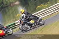 Vintage-motorcycle-club;eventdigitalimages;mallory-park;mallory-park-trackday-photographs;no-limits-trackdays;peter-wileman-photography;trackday-digital-images;trackday-photos;vmcc-festival-1000-bikes-photographs