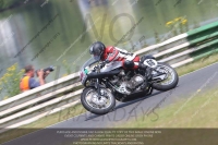 Vintage-motorcycle-club;eventdigitalimages;mallory-park;mallory-park-trackday-photographs;no-limits-trackdays;peter-wileman-photography;trackday-digital-images;trackday-photos;vmcc-festival-1000-bikes-photographs