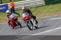 Vintage-motorcycle-club;eventdigitalimages;mallory-park;mallory-park-trackday-photographs;no-limits-trackdays;peter-wileman-photography;trackday-digital-images;trackday-photos;vmcc-festival-1000-bikes-photographs