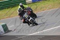 Vintage-motorcycle-club;eventdigitalimages;mallory-park;mallory-park-trackday-photographs;no-limits-trackdays;peter-wileman-photography;trackday-digital-images;trackday-photos;vmcc-festival-1000-bikes-photographs