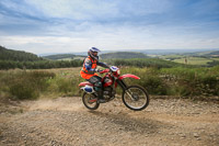 enduro-digital-images;enduro-photos;eventdigitalimages;llandrindod-wells;no-limits-trackdays;peter-wileman-photography;trackday-digital-images;wales;welsh-2-day-enduro