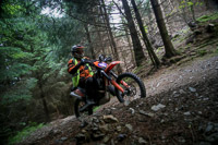 enduro-digital-images;enduro-photos;eventdigitalimages;llandrindod-wells;no-limits-trackdays;peter-wileman-photography;trackday-digital-images;wales;welsh-2-day-enduro