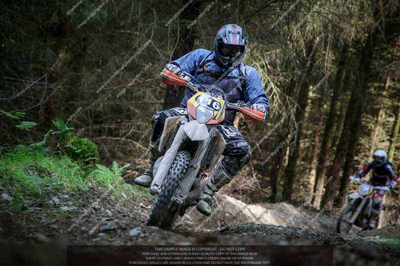 enduro digital images;enduro photos;eventdigitalimages;llandrindod wells;no limits trackdays;peter wileman photography;trackday digital images;wales;welsh 2 day enduro