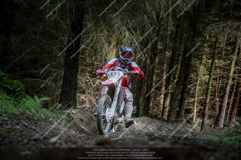 enduro digital images;enduro photos;eventdigitalimages;llandrindod wells;no limits trackdays;peter wileman photography;trackday digital images;wales;welsh 2 day enduro