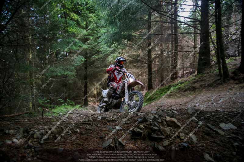 enduro digital images;enduro photos;eventdigitalimages;llandrindod wells;no limits trackdays;peter wileman photography;trackday digital images;wales;welsh 2 day enduro