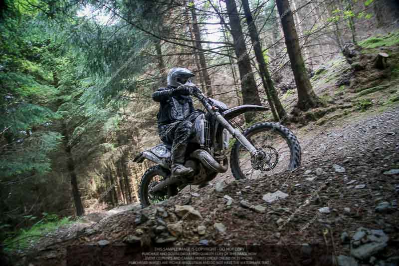 enduro digital images;enduro photos;eventdigitalimages;llandrindod wells;no limits trackdays;peter wileman photography;trackday digital images;wales;welsh 2 day enduro