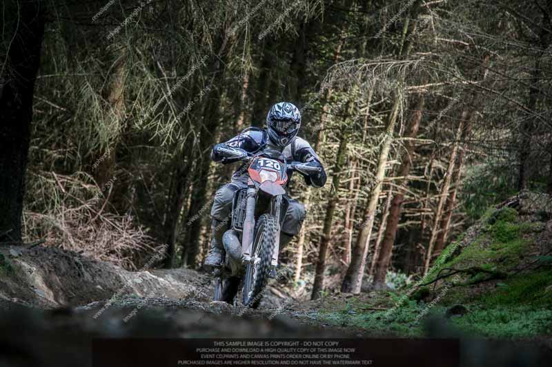 enduro digital images;enduro photos;eventdigitalimages;llandrindod wells;no limits trackdays;peter wileman photography;trackday digital images;wales;welsh 2 day enduro