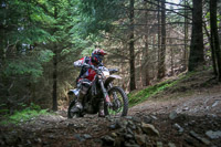 enduro-digital-images;enduro-photos;eventdigitalimages;llandrindod-wells;no-limits-trackdays;peter-wileman-photography;trackday-digital-images;wales;welsh-2-day-enduro