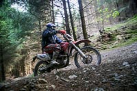 enduro-digital-images;enduro-photos;eventdigitalimages;llandrindod-wells;no-limits-trackdays;peter-wileman-photography;trackday-digital-images;wales;welsh-2-day-enduro