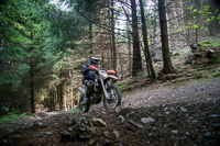 enduro-digital-images;enduro-photos;eventdigitalimages;llandrindod-wells;no-limits-trackdays;peter-wileman-photography;trackday-digital-images;wales;welsh-2-day-enduro