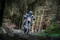 enduro-digital-images;enduro-photos;eventdigitalimages;llandrindod-wells;no-limits-trackdays;peter-wileman-photography;trackday-digital-images;wales;welsh-2-day-enduro