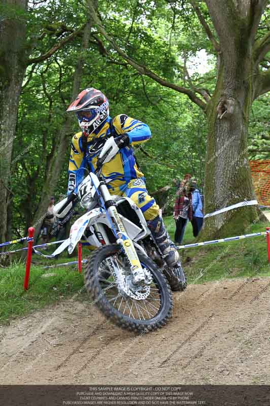 enduro digital images;enduro photos;eventdigitalimages;llandrindod wells;no limits trackdays;peter wileman photography;trackday digital images;wales;welsh 2 day enduro