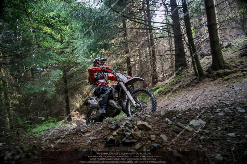 enduro digital images;enduro photos;eventdigitalimages;llandrindod wells;no limits trackdays;peter wileman photography;trackday digital images;wales;welsh 2 day enduro